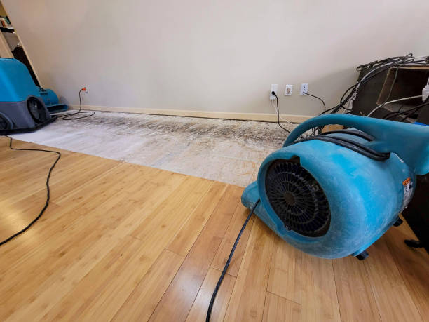 Professional Structural Drying technician working in Johnsonburg, PA